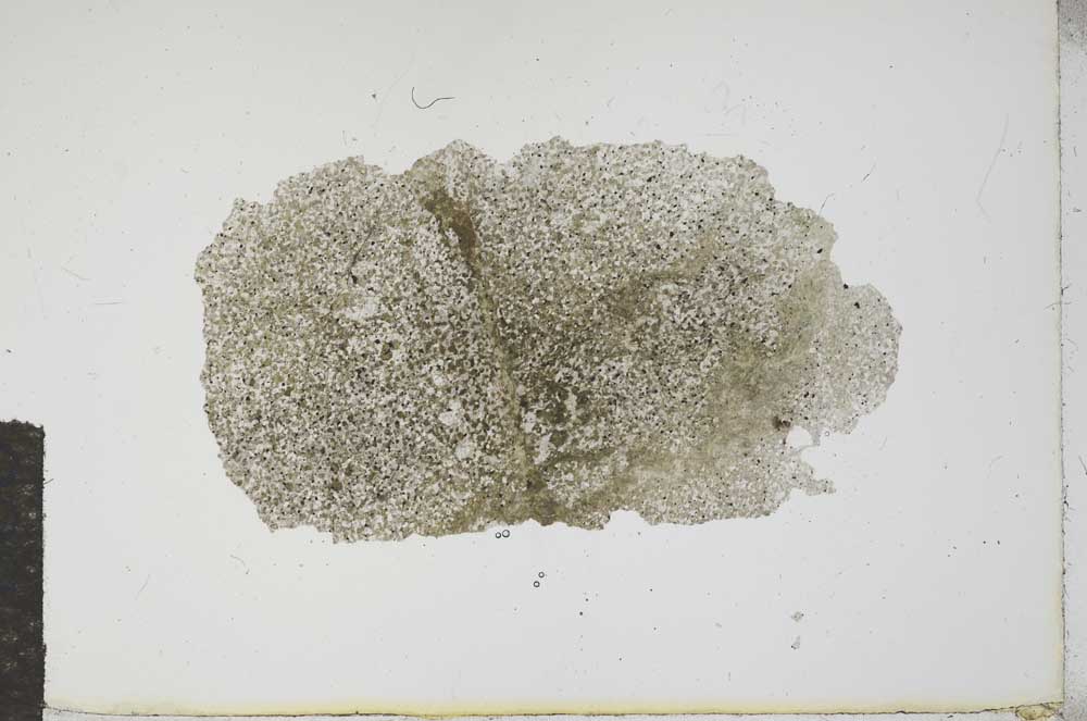 Plane Polarized, S16498