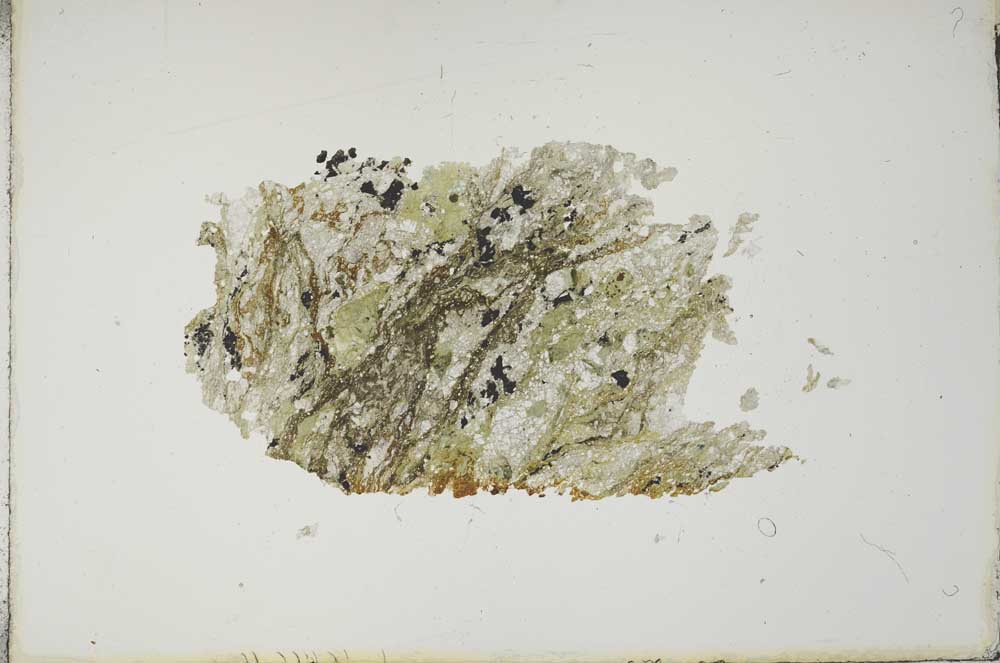Plane Polarized, S16504