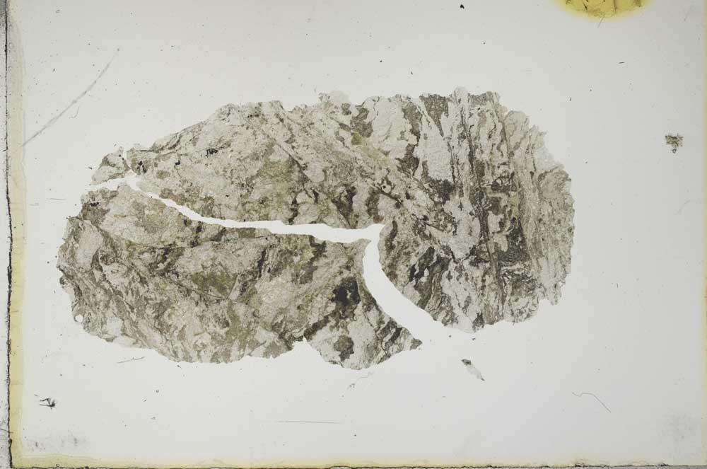 Plane Polarized, S16508