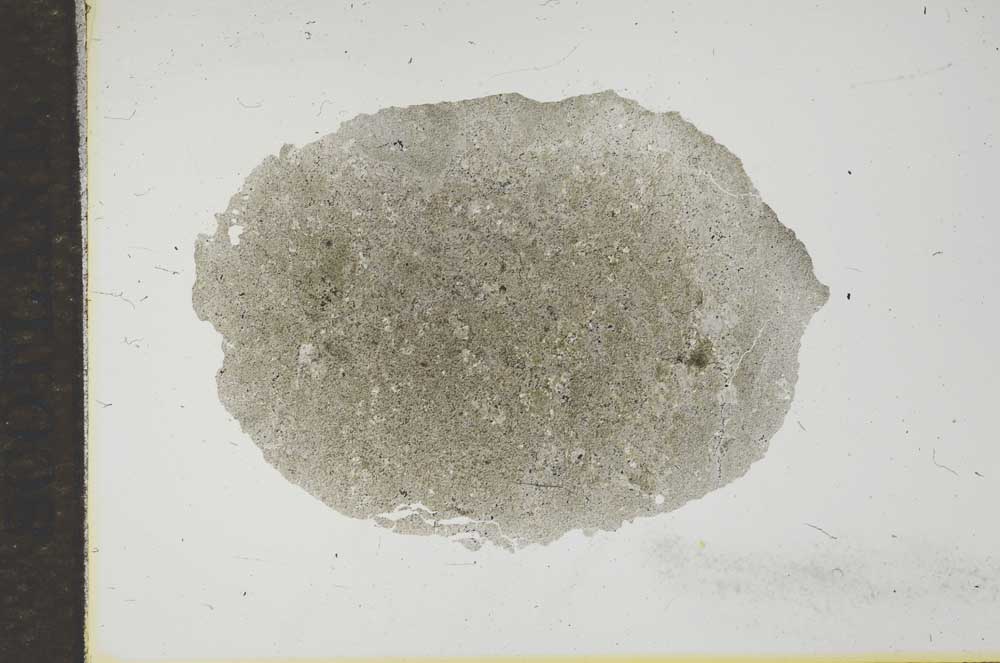 Plane Polarized, S16515
