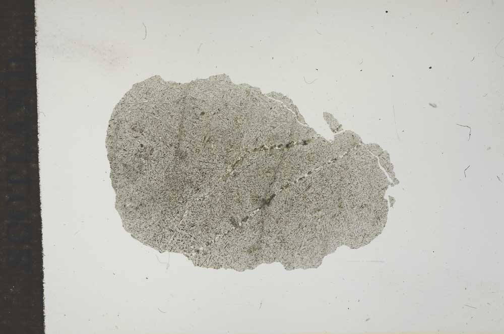 Plane Polarized, S16516