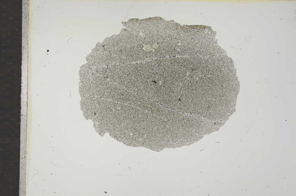 Plane Polarized, S16517