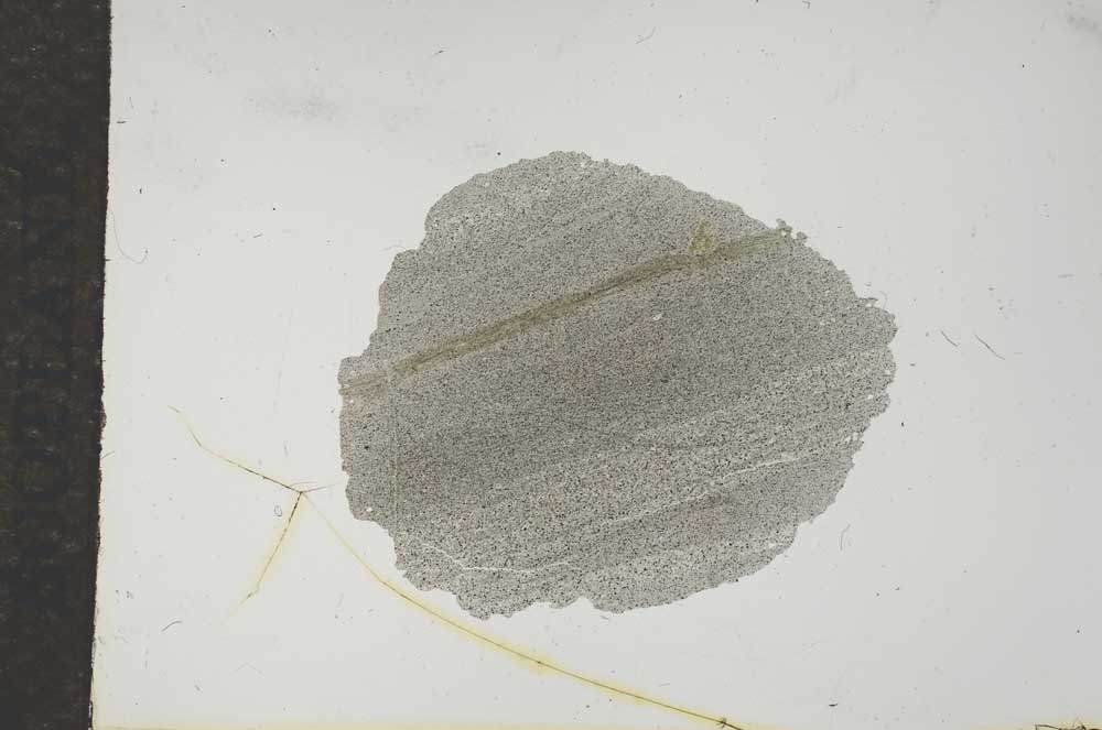 Plane Polarized, S16518
