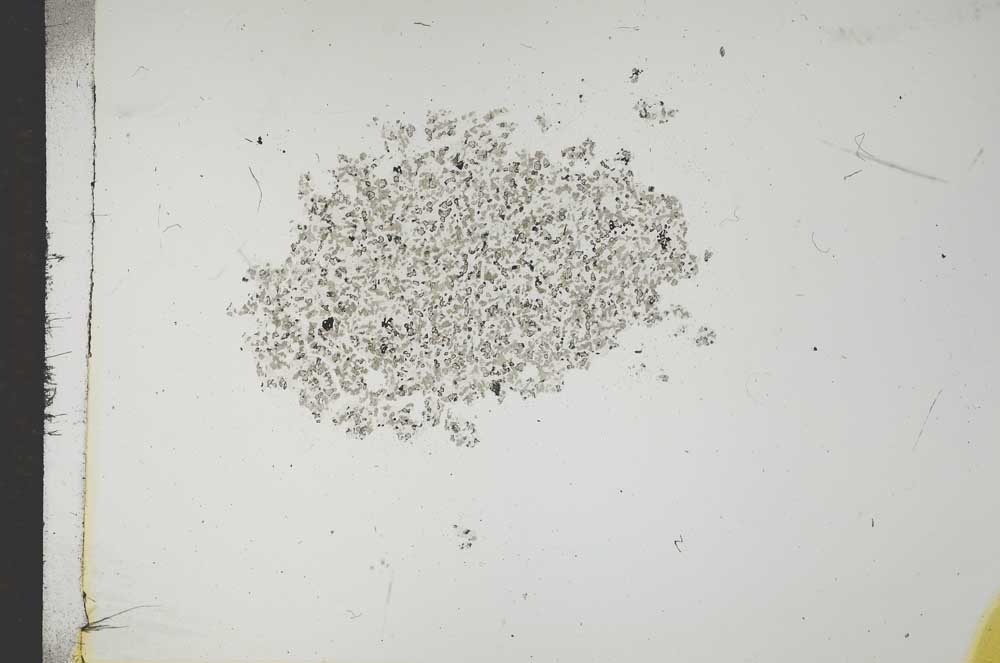 Plane Polarized, S16526