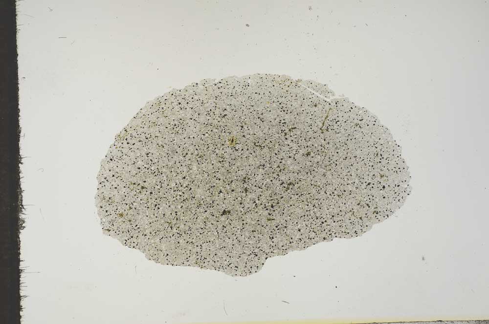 Plane Polarized, S16540