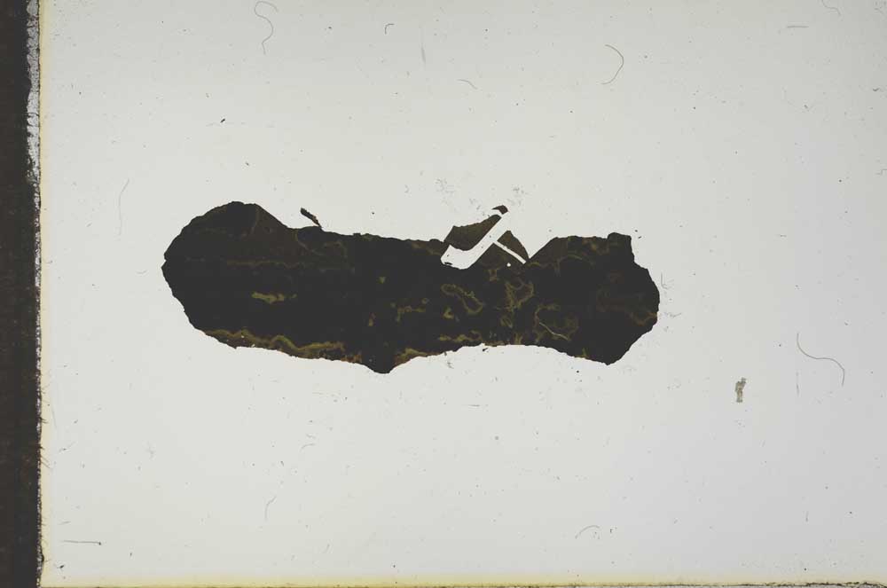 Plane Polarized, S16554