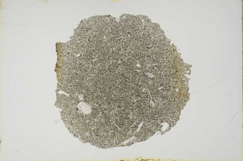 Plane Polarized, S16556