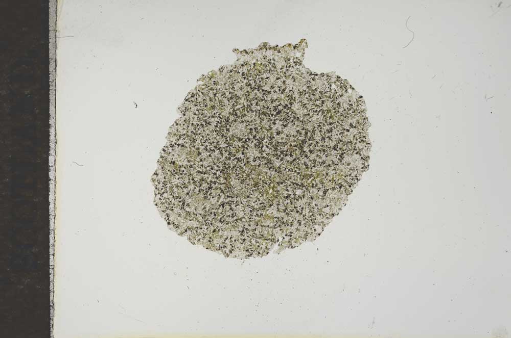 Plane Polarized, S16560