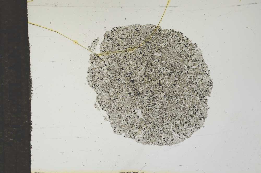 Plane Polarized, S16569