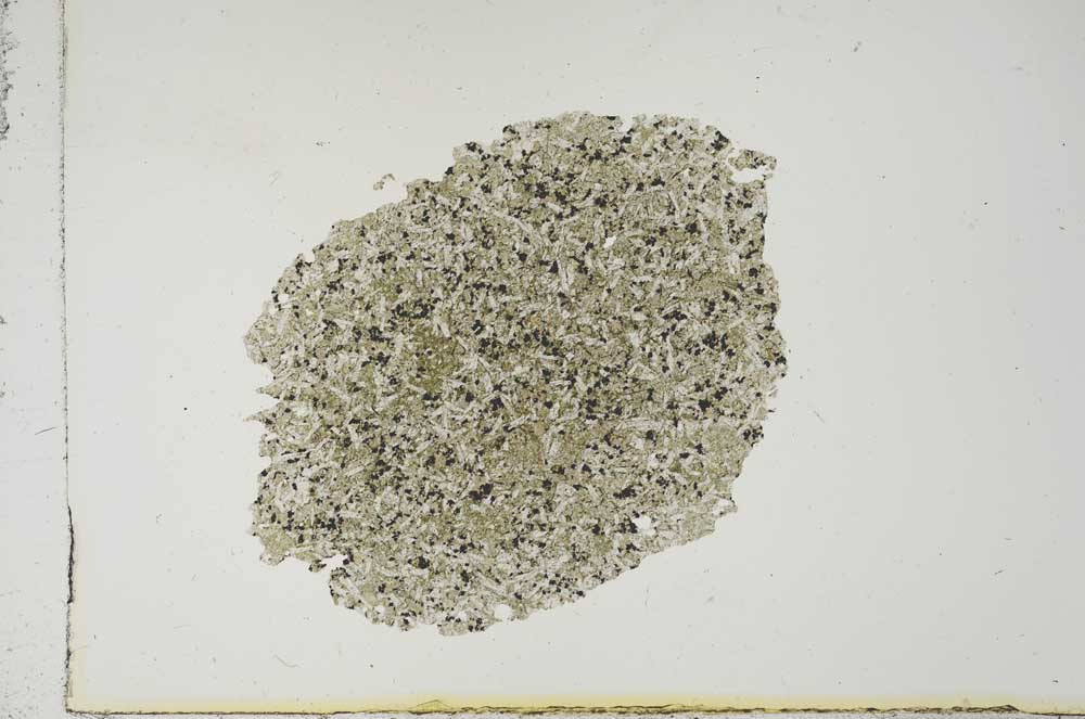 Plane Polarized, S16570