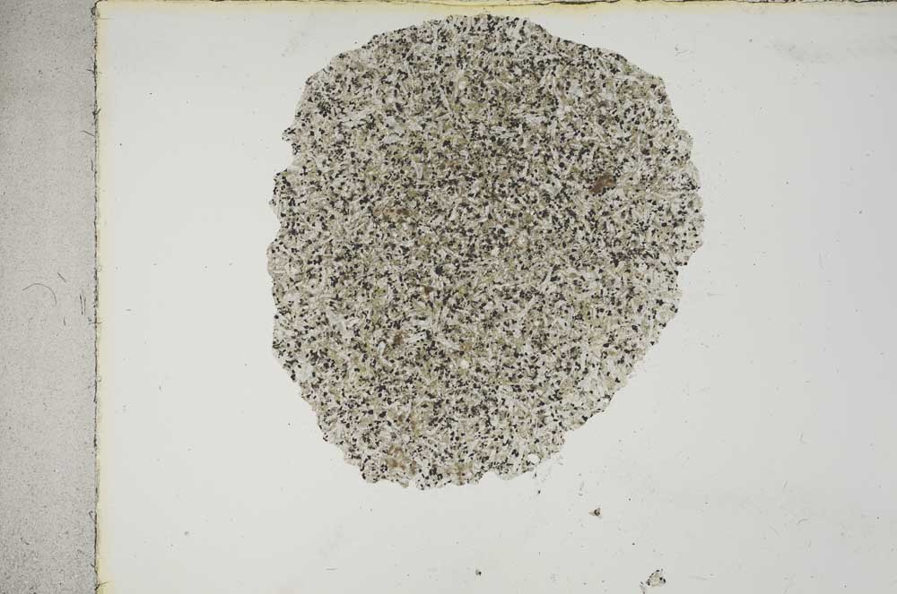 Plane Polarized, S16571