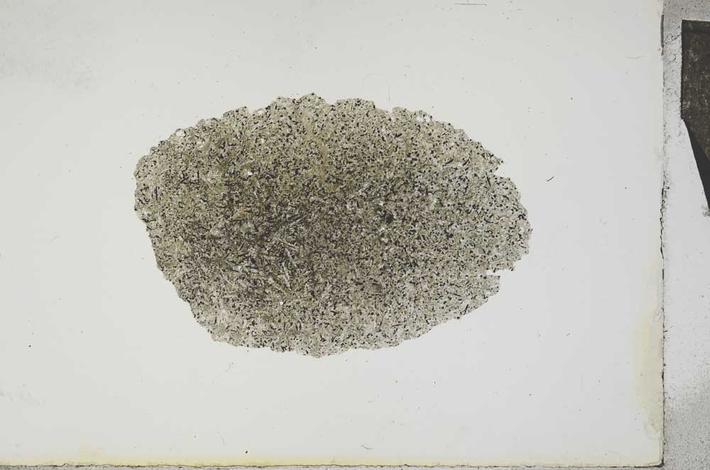 Plane Polarized, S16579