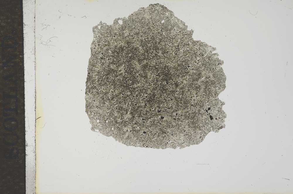 Plane Polarized, S16580
