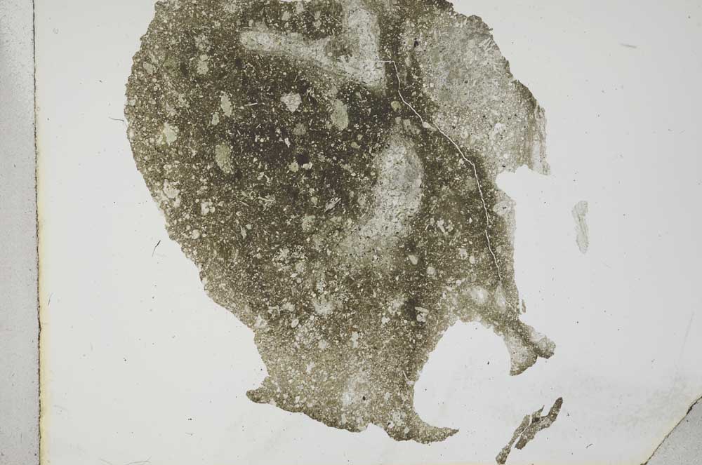 Plane Polarized, S16584