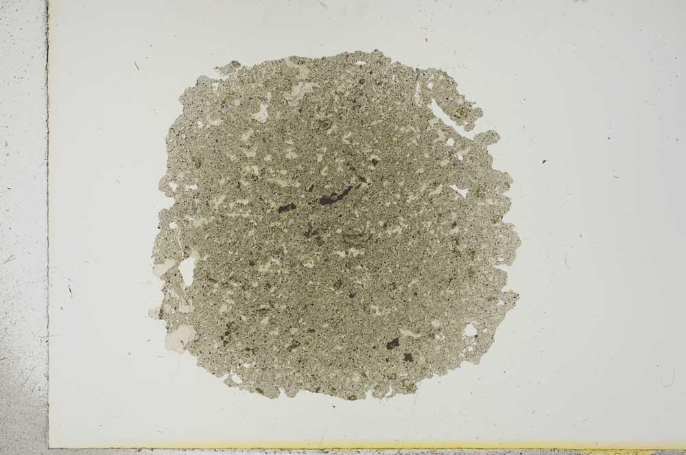 Plane Polarized, S16586
