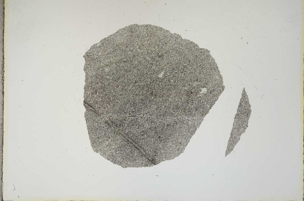Plane Polarized, S16590