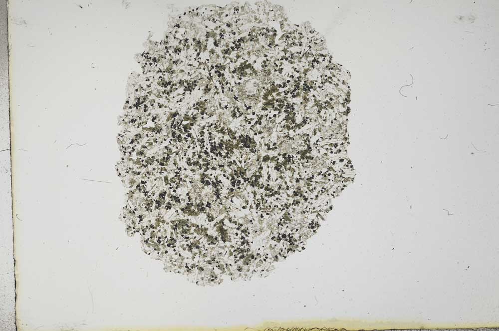 Plane Polarized, S16613
