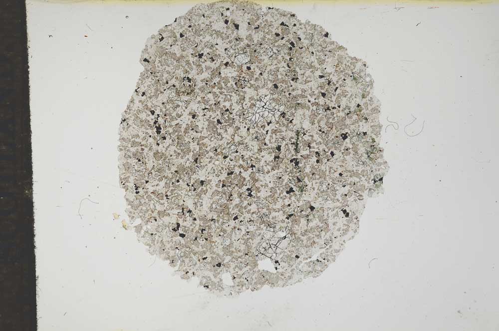 Plane Polarized, S16614