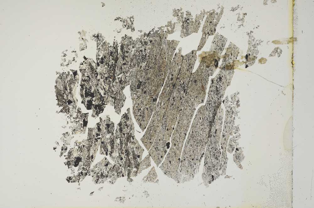 Plane Polarized, S16621