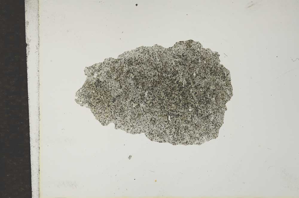 Plane Polarized, S16624