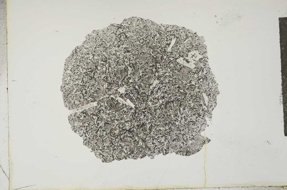 Plane Polarized, S16631