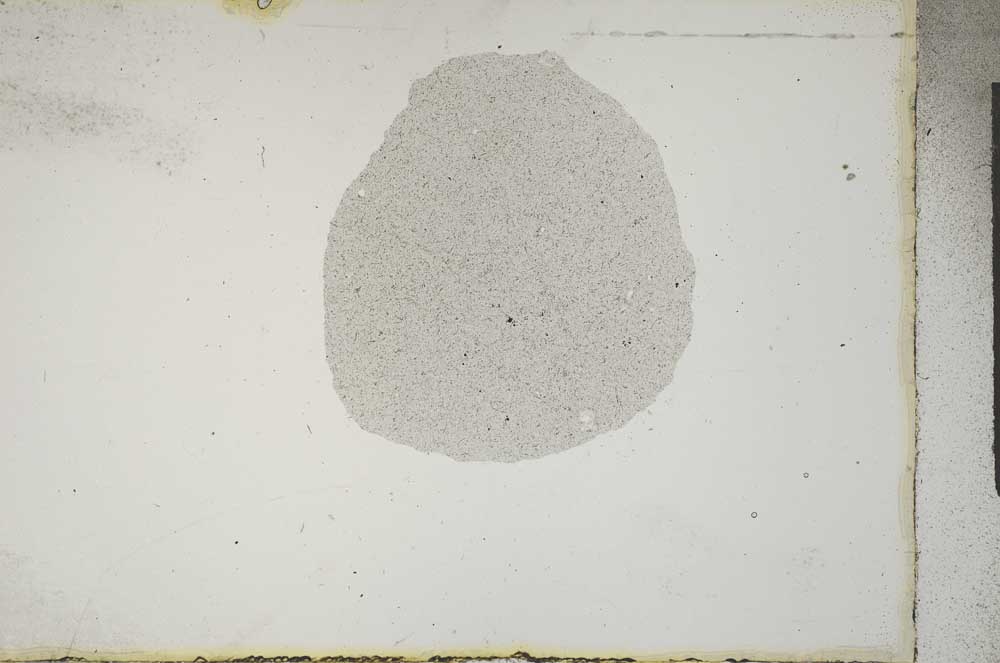 Plane Polarized, S16641