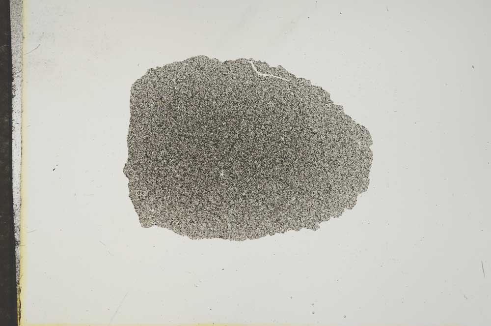Plane Polarized, S16644