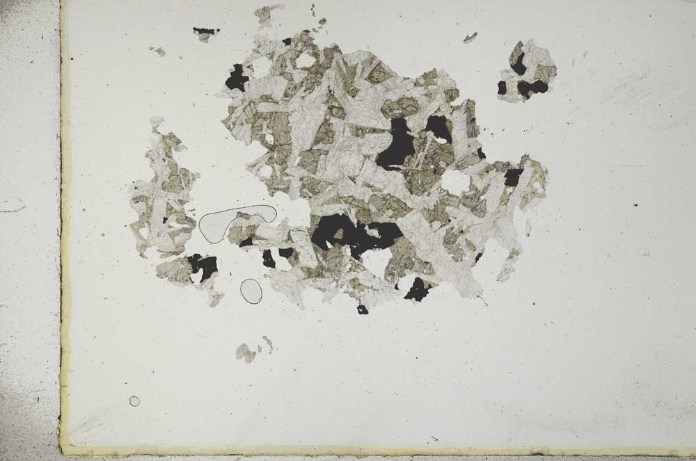 Plane Polarized, S16646