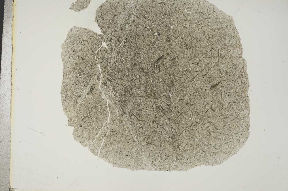Plane Polarized, S16649