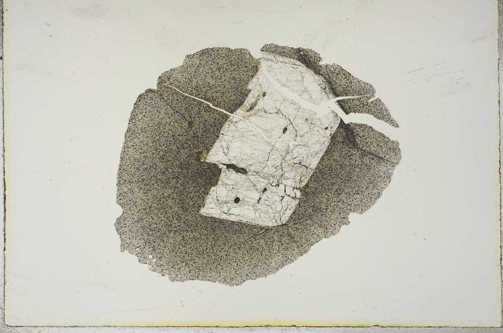 Plane Polarized, S16653