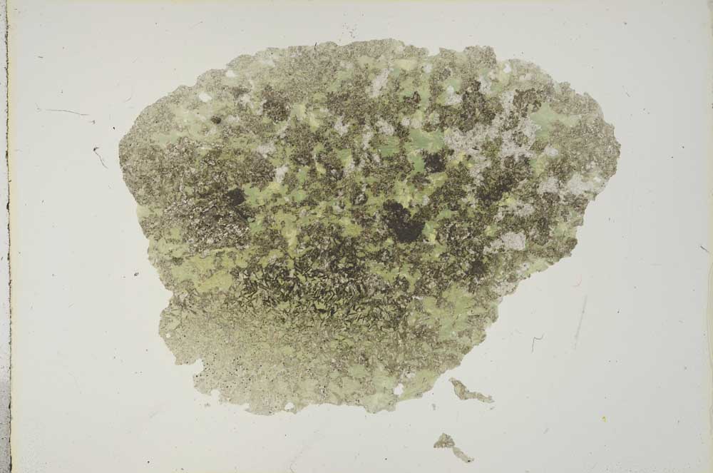 Plane Polarized, S16654