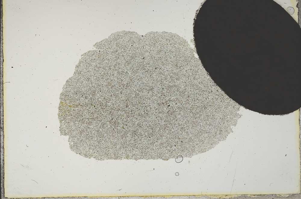 Plane Polarized, S16656