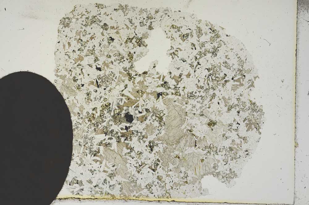 Plane Polarized, S16657
