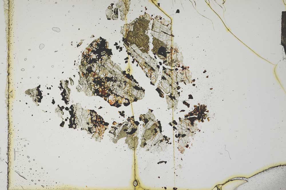 Plane Polarized, S16674