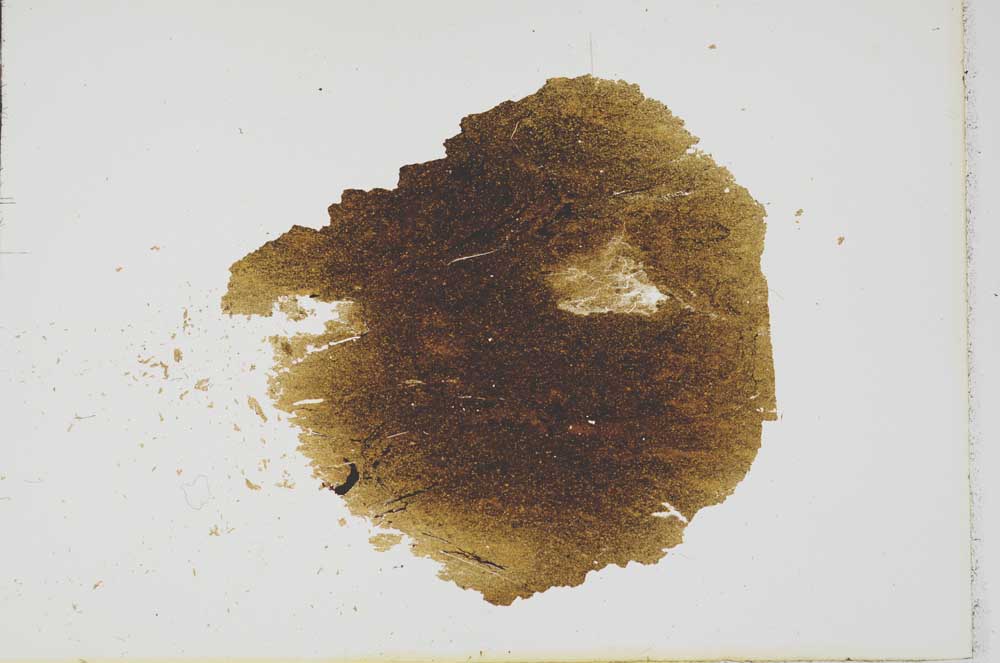 Plane Polarized, S16679