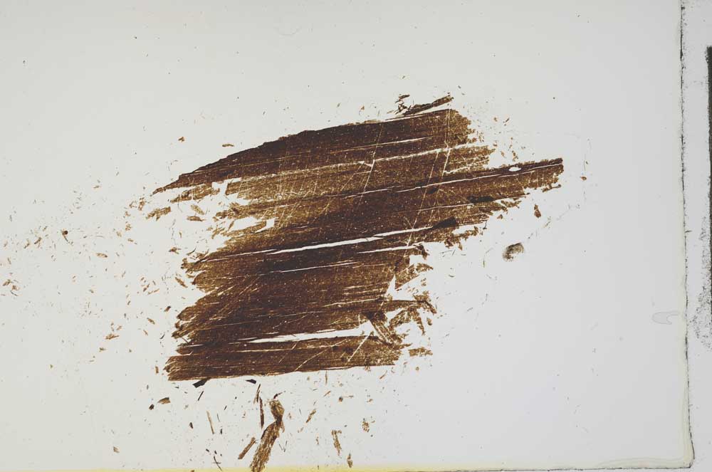 Plane Polarized, S16681