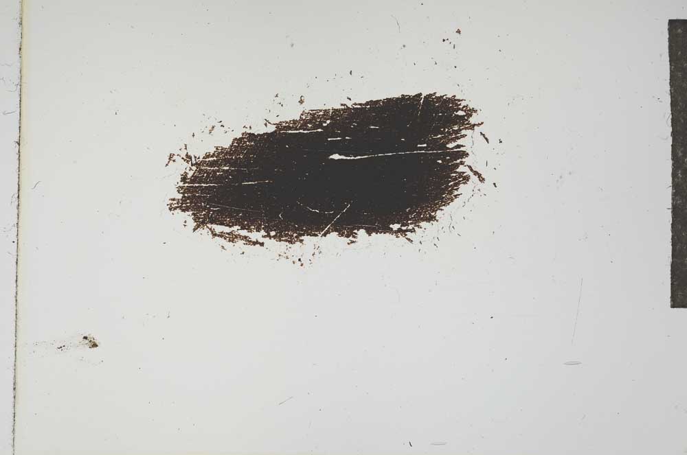 Plane Polarized, S16686
