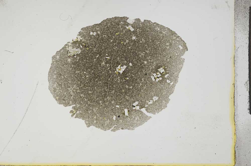 Plane Polarized, S16694