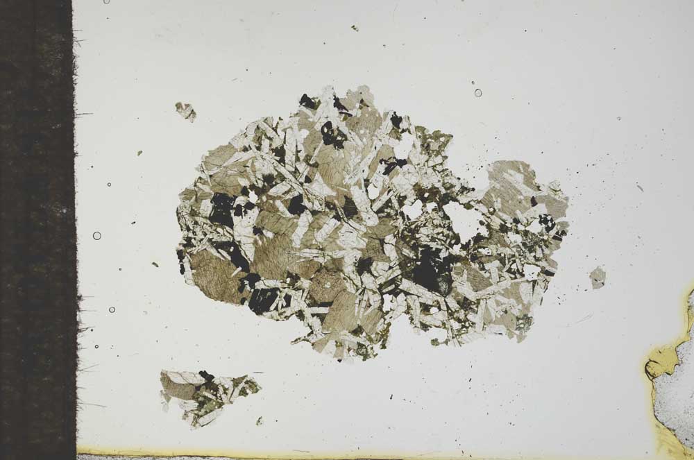 Plane Polarized, S16696