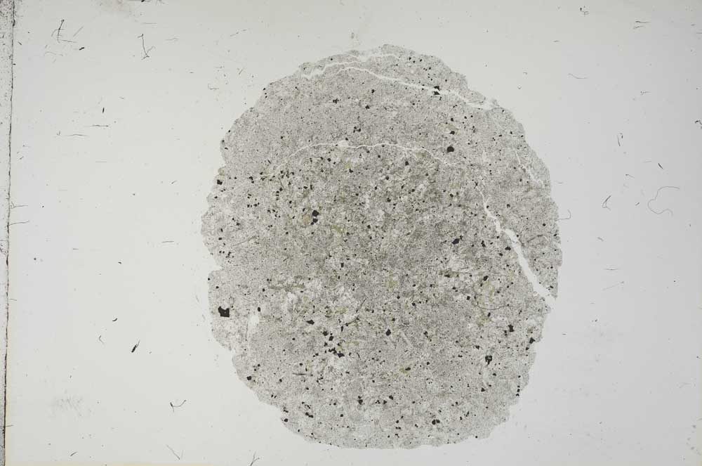 Plane Polarized, S16707