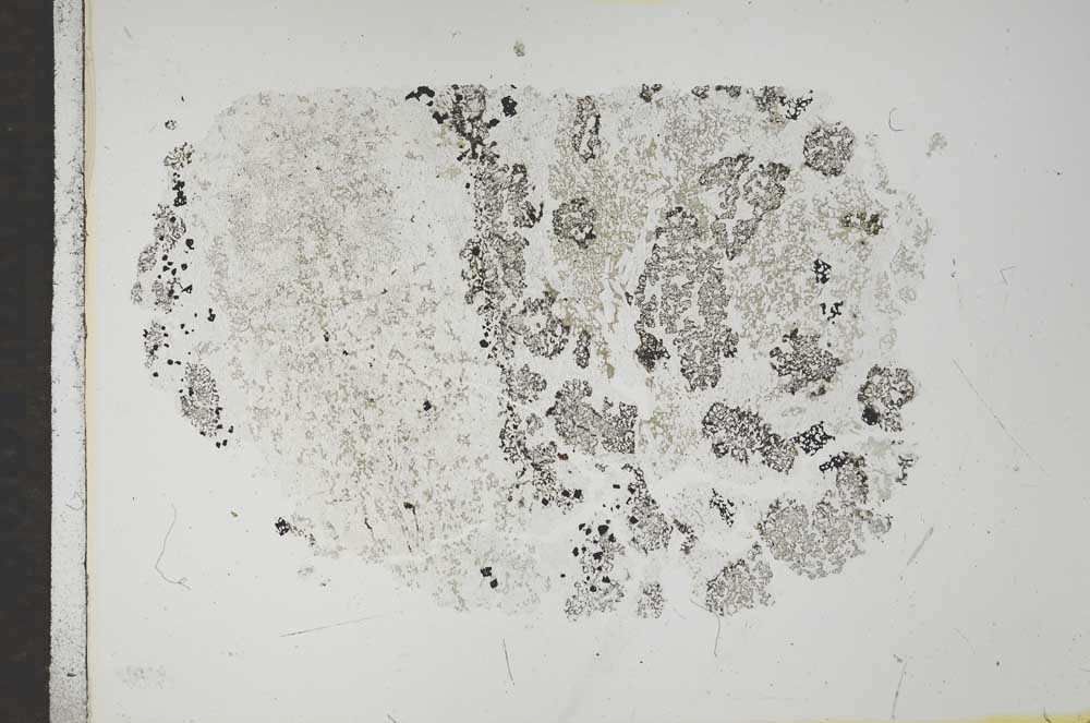 Plane Polarized, S16712