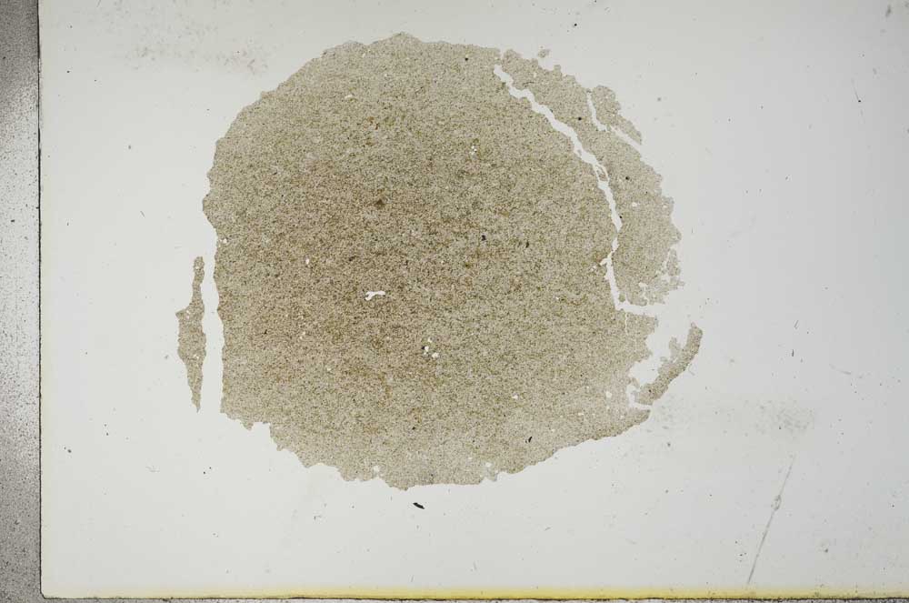 Plane Polarized, S16724