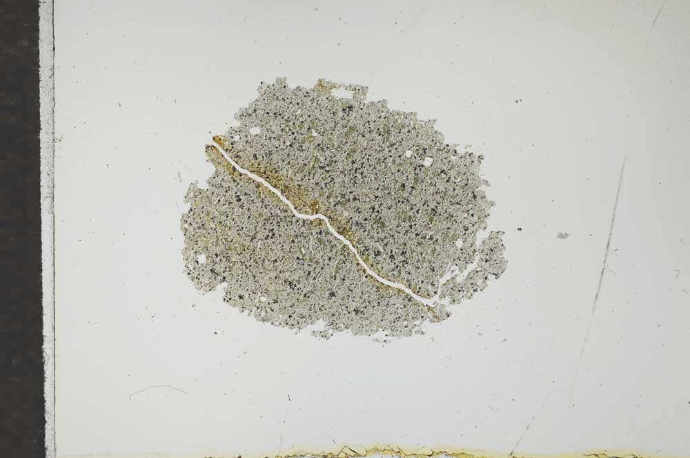 Plane Polarized, S16725
