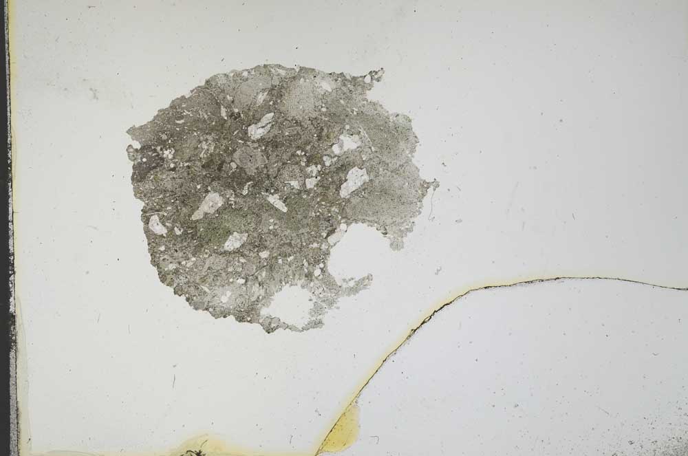 Plane Polarized, S16731