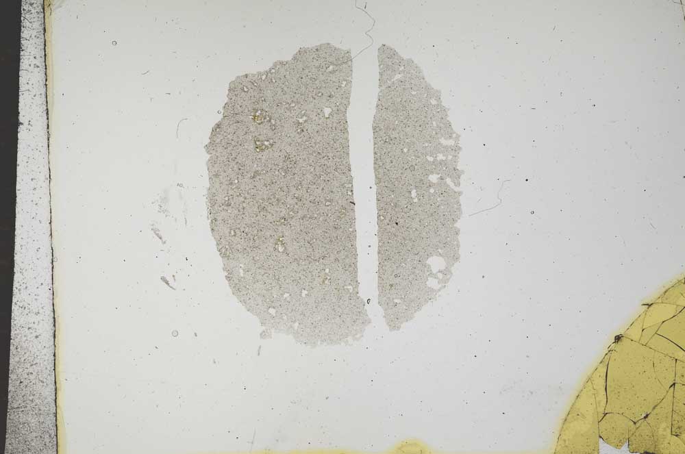 Plane Polarized, S16732