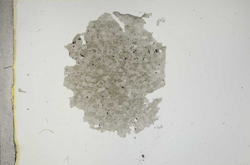Plane Polarized, S16733