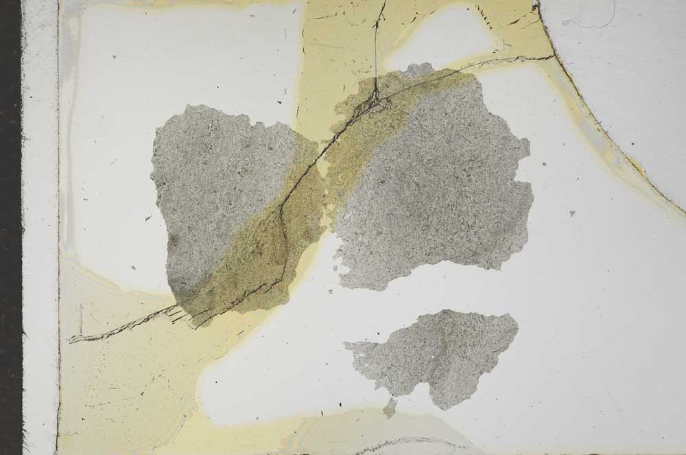 Plane Polarized, S16739