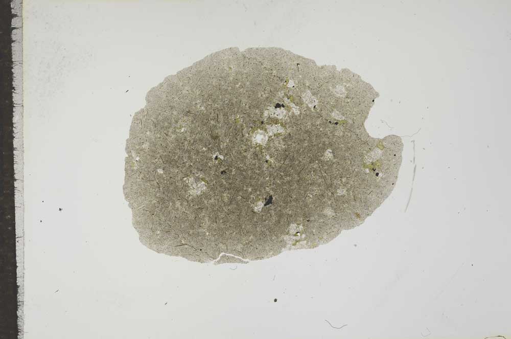 Plane Polarized, S16742