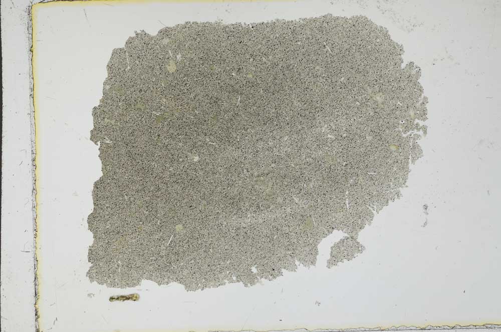 Plane Polarized, S16745
