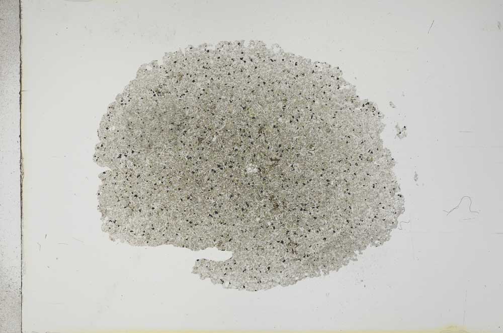 Plane Polarized, S16748